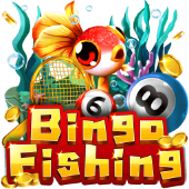 Câu Cá Bingo 678k